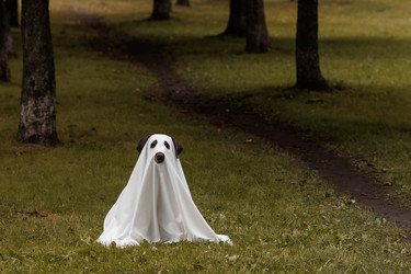 Similar image 22208443