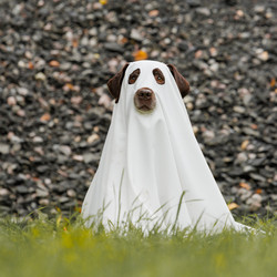 Similar image 22208536