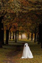 Similar image 22208537