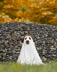 Similar image 22208538