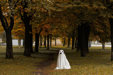 Similar image 22208539