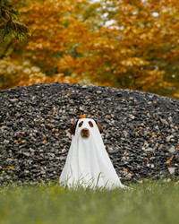 Similar image 22208540