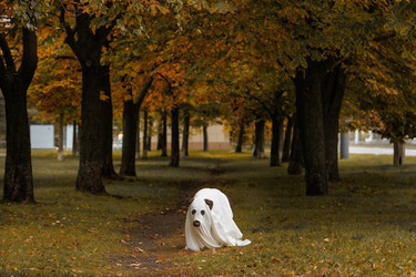 Similar image 22208541