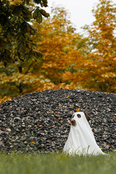 Similar image 22208542