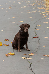 Similar image 22208543