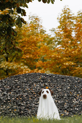 Similar image 22208544