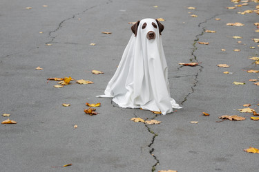 Similar image 22208548