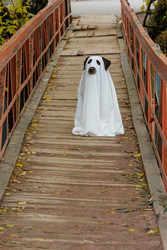 Similar image 22208549