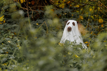 Similar image 22208550