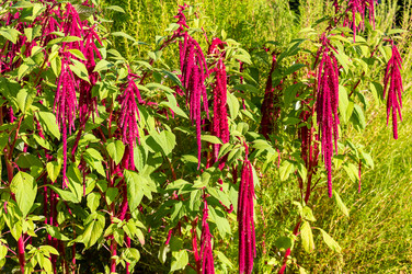 Similar image 22199027