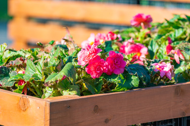 Similar image 22199029