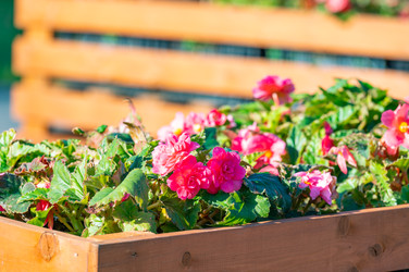 Similar image 22199009