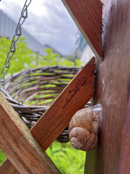 Similar image 22203659