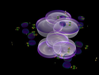 Similar image 22200792