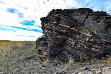 Similar image 22201644