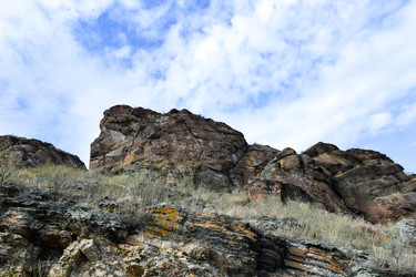 Similar image 22201648