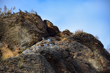 Similar image 22201650