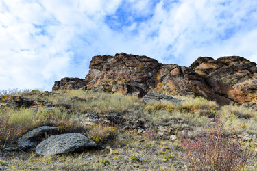 Similar image 22201651