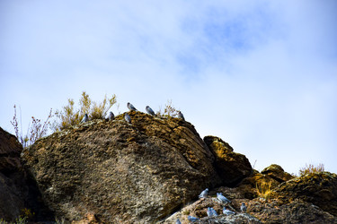 Similar image 22201652