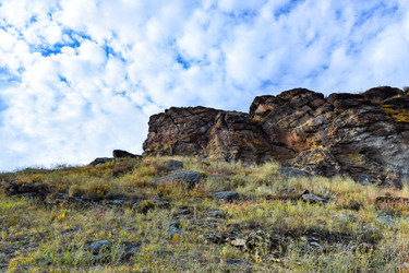 Similar image 22201654