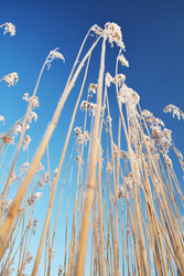 Similar image 22199843