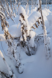 Similar image 22199844