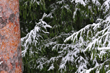 Similar image 22199849