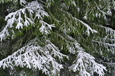 Similar image 22199850