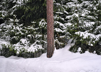 Similar image 22199851