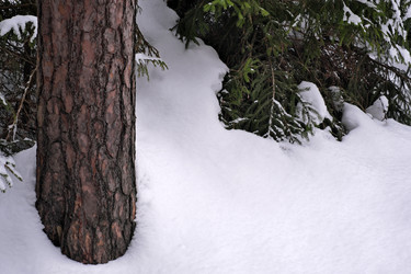 Similar image 22199852