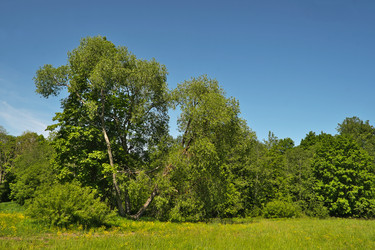 Similar image 22199887