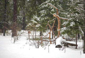 Similar image 22199890