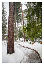 Similar image 22199891