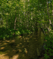 Similar image 22199892