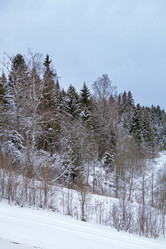 Similar image 22199893