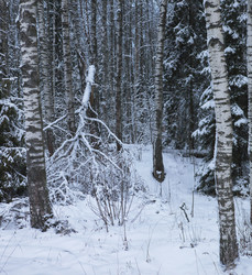 Similar image 22199894