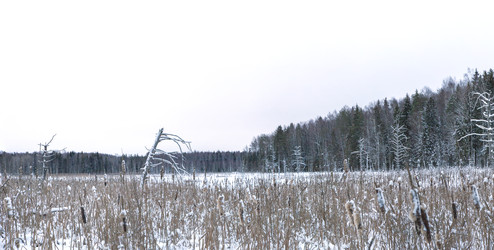 Similar image 22200007