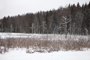 Similar image 22200008