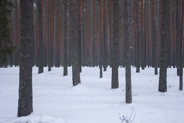 Similar image 22200010