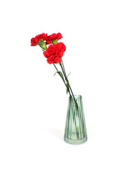 Similar image 22200040