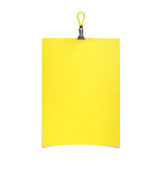 Similar image 22200054