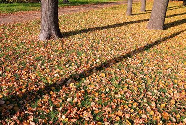 Similar image 22200815