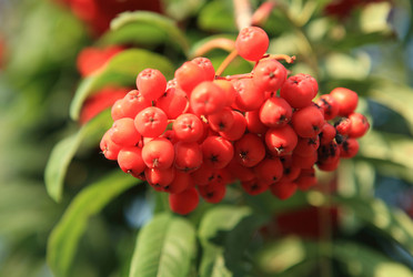 Similar image 22200816