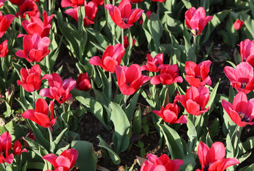 Similar image 22200824