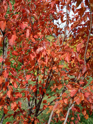 Similar image 22200825