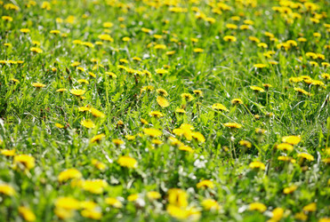 Similar image 22200826