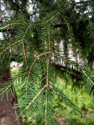 Similar image 22200833