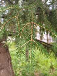 Similar image 22200834