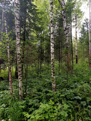 Similar image 22200837