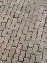 Similar image 22200840